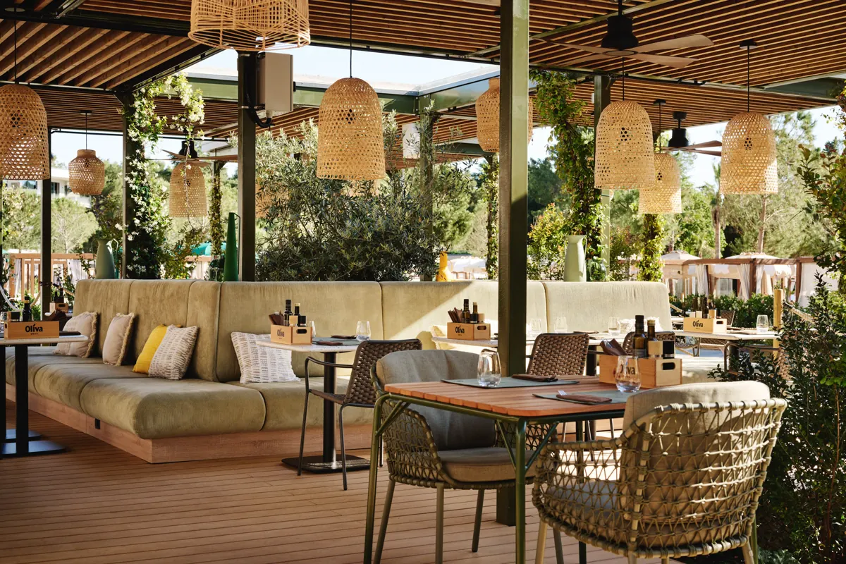 Oliva grill