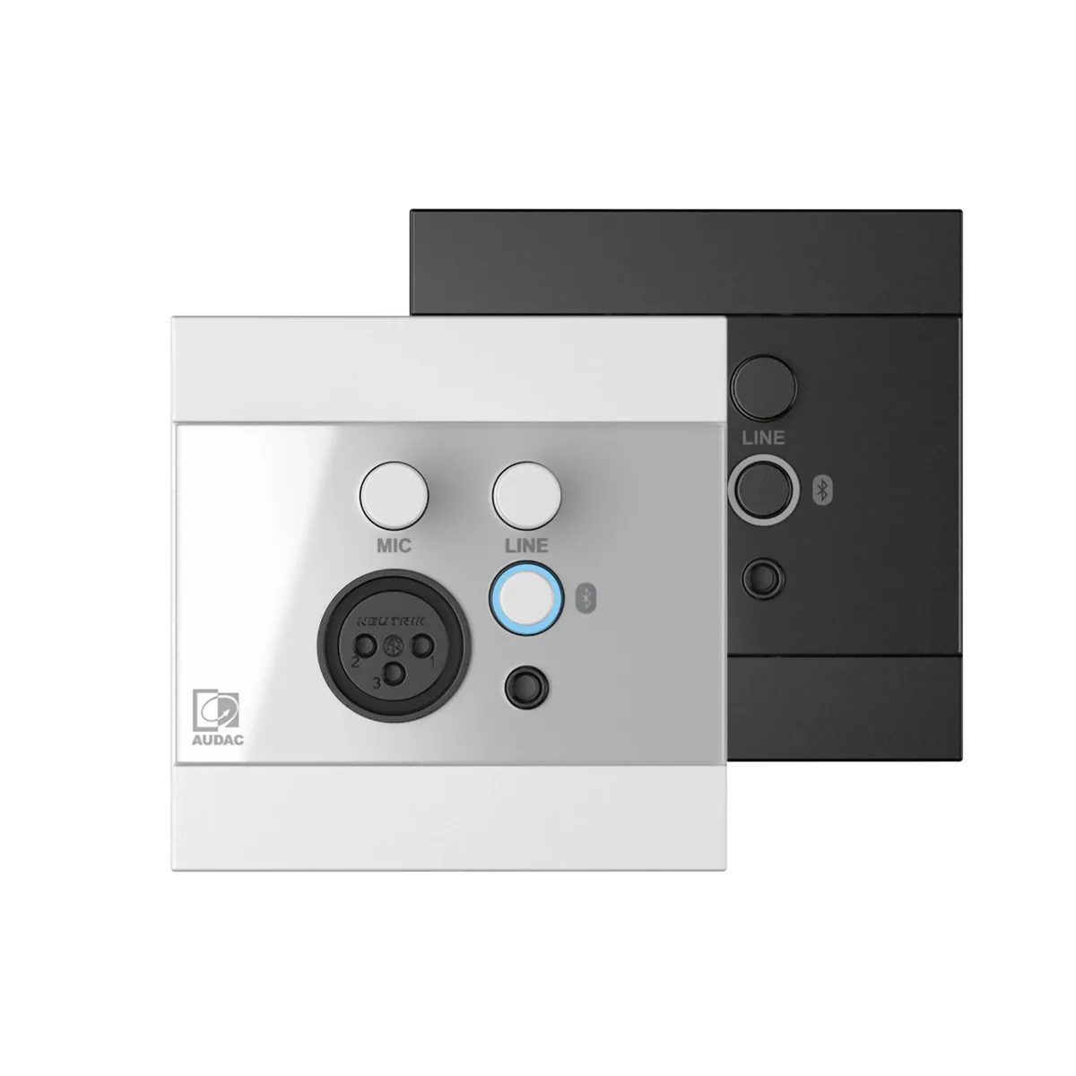 AUDAC WP225